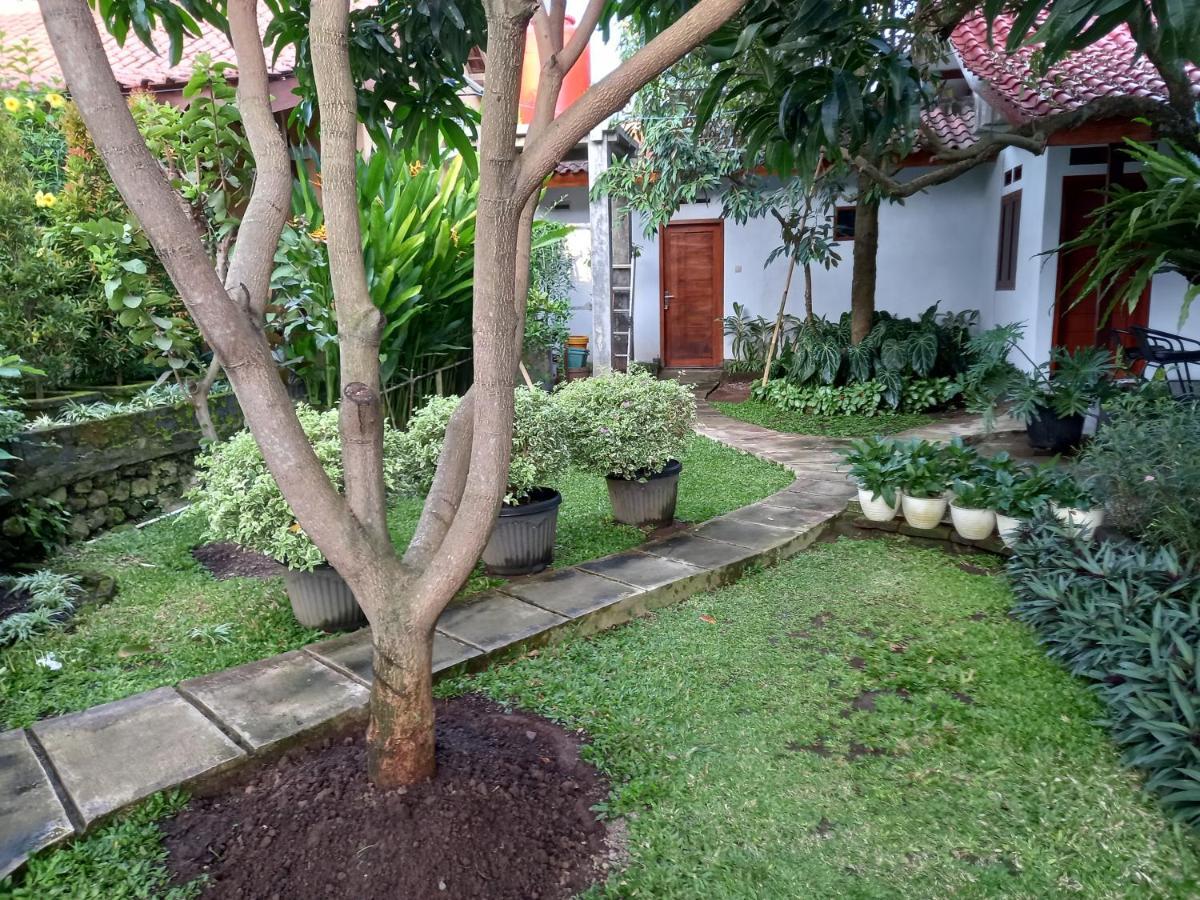 Juda Homestay Banyuwangi  Exteriér fotografie