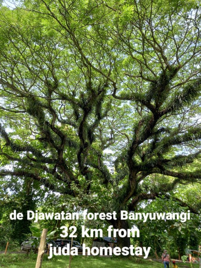 Juda Homestay Banyuwangi  Exteriér fotografie