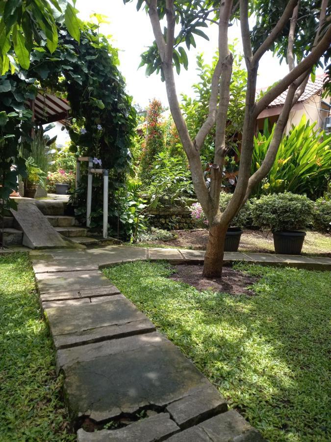Juda Homestay Banyuwangi  Exteriér fotografie