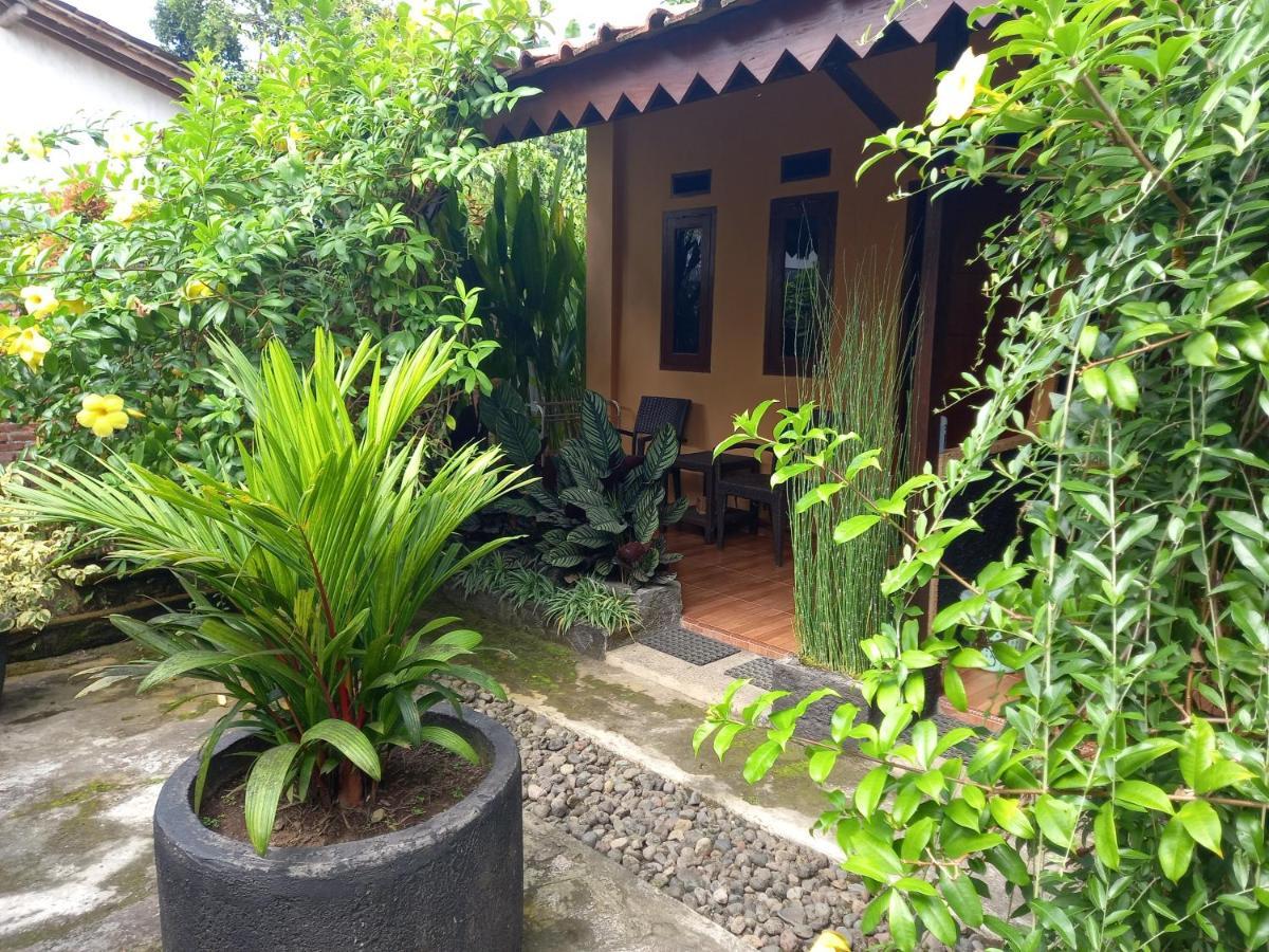Juda Homestay Banyuwangi  Exteriér fotografie