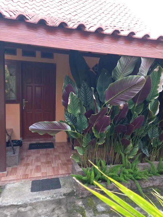 Juda Homestay Banyuwangi  Exteriér fotografie
