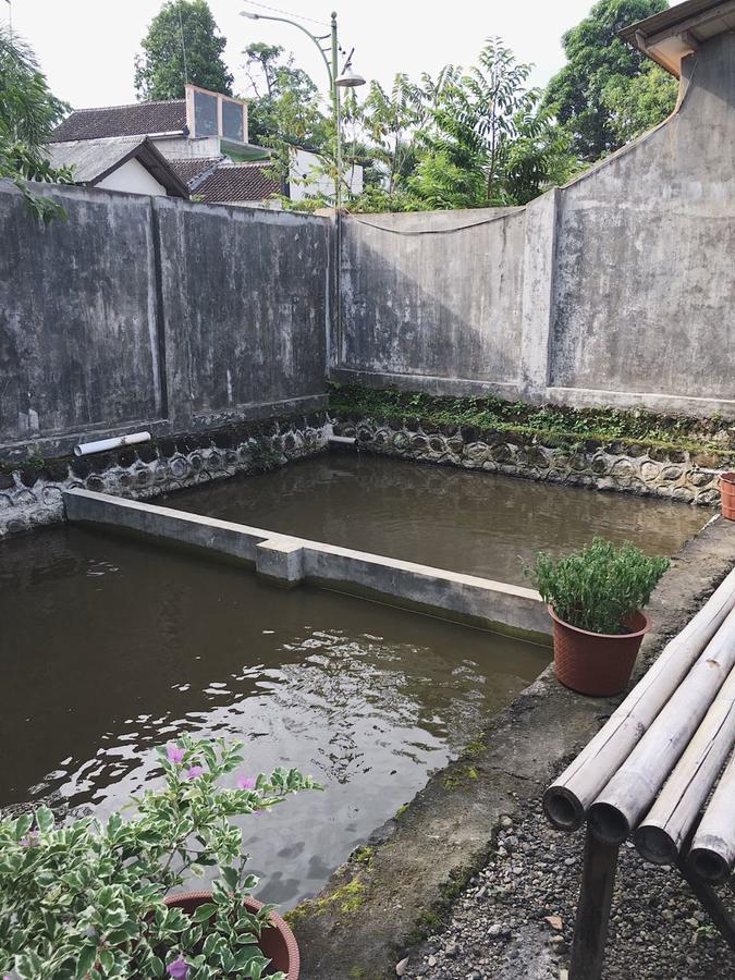 Juda Homestay Banyuwangi  Exteriér fotografie